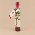 Pineut Vinaigrette Raspberry Pomegranate Mint
