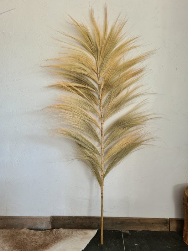 Pluim XL gebleekt