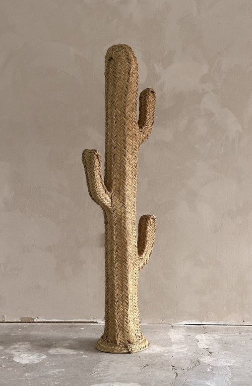 Kaktus 100cm - 150cm