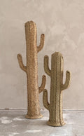 Cactus 100cm - 150cm