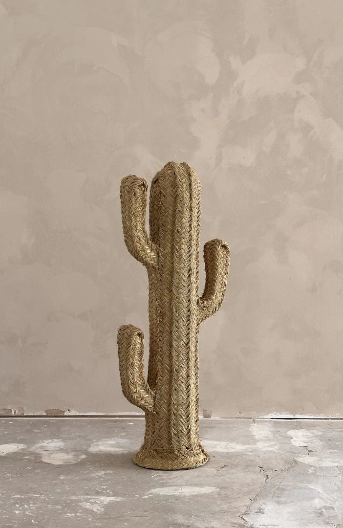 Cactus 100cm - 150cm