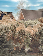 Zeegras lampionnen
