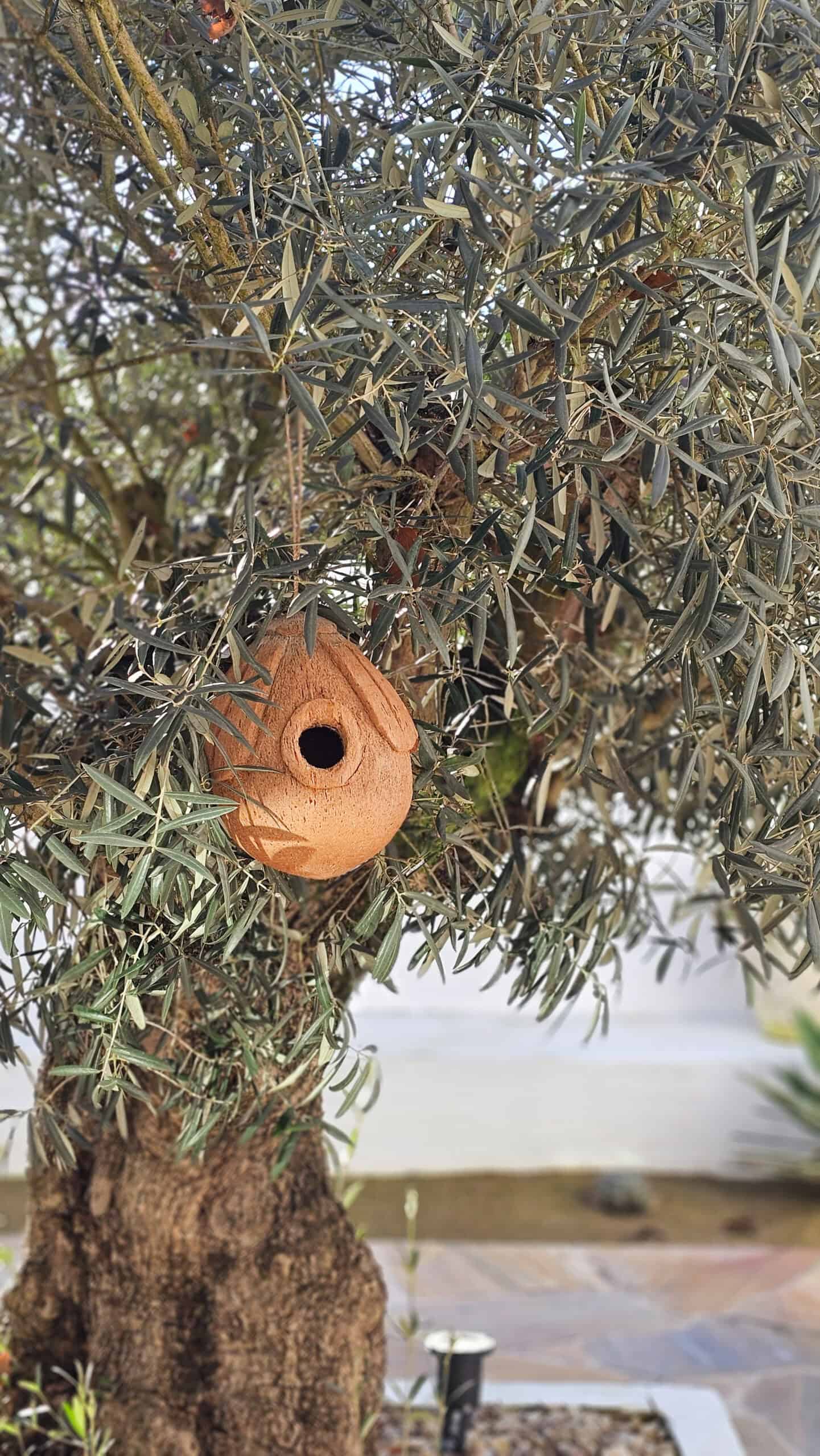 Kokosnoot vogelhuisje
