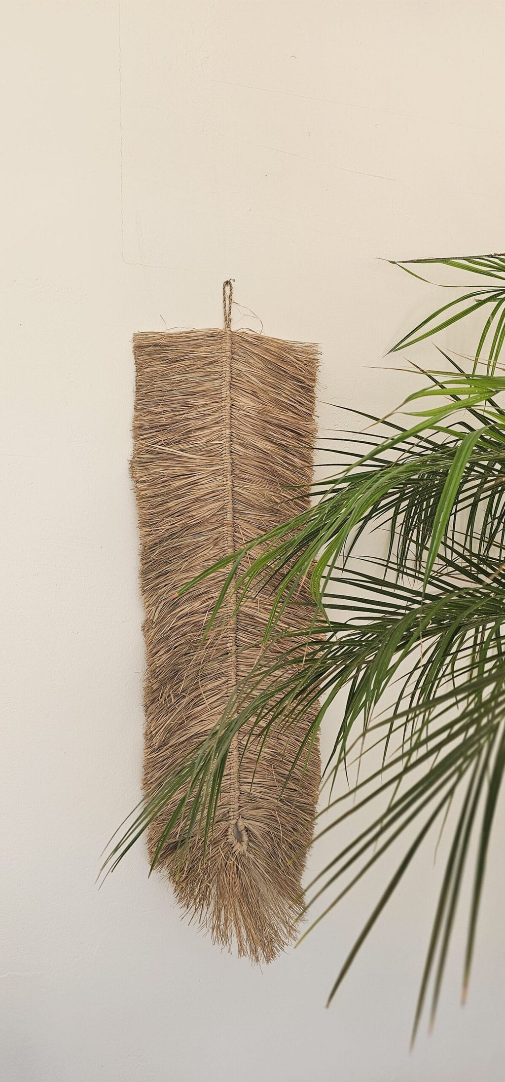 Raffia veer
