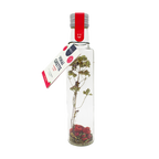 Pineut Vinaigrette Raspberry Pomegranate Mint