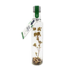 Pineut Vinaigrette Italian herbs