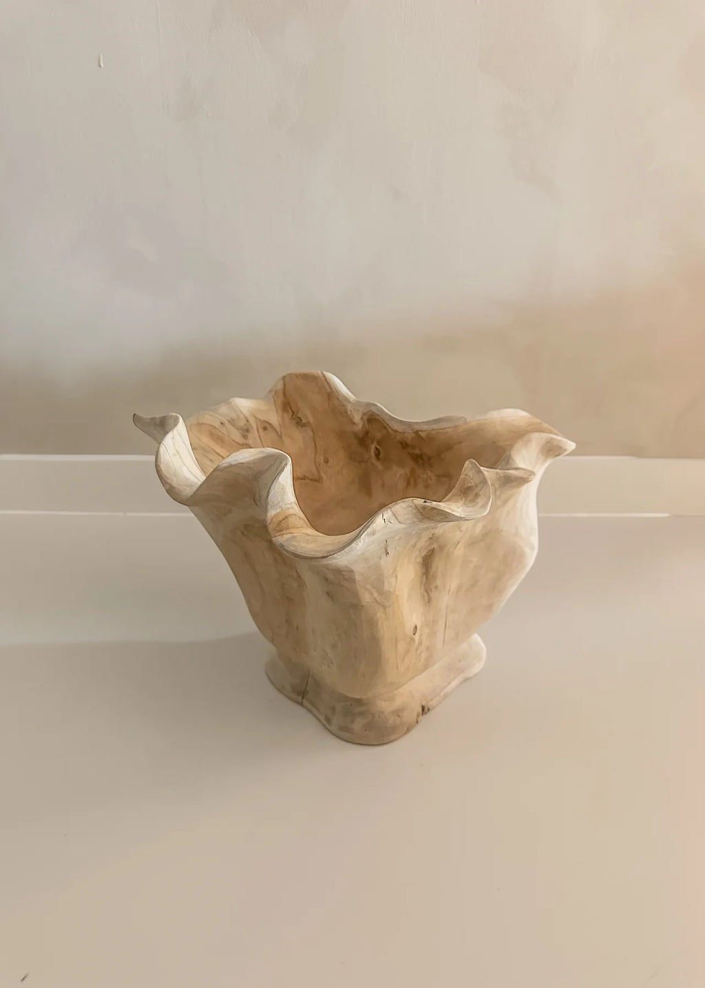 Organische Houten Schaal