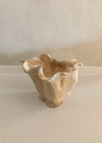 Organische Houten Schaal