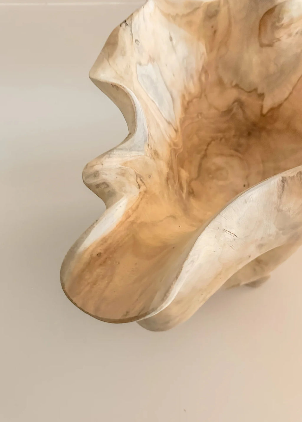 Organische Houten Schaal