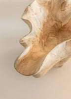 Organische Houten Schaal