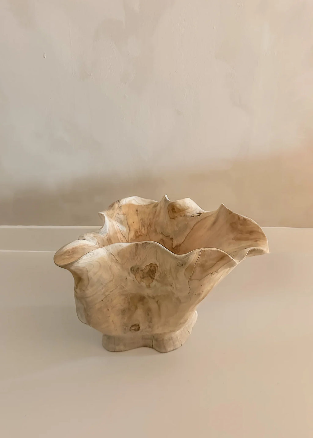 Organische Houten Schaal