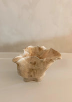 Organische Houten Schaal