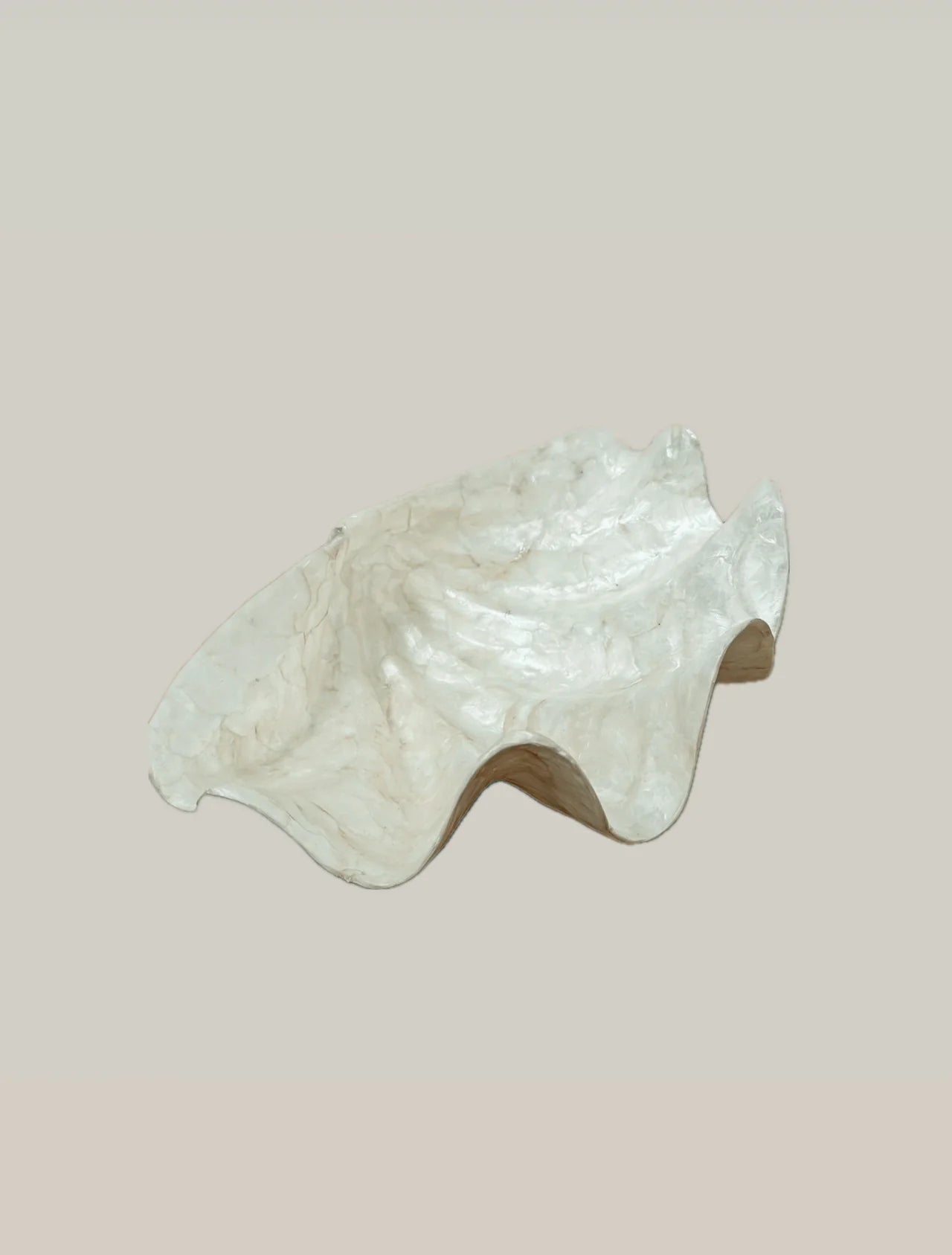Schelp Schaal Capiz