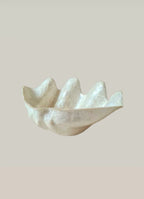 Schelp Schaal Capiz