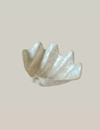 Schelp Schaal Capiz