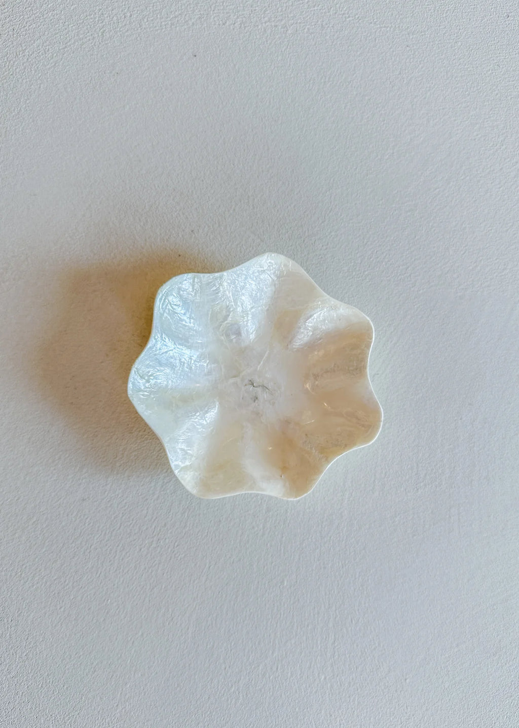 Capiz Schaaltje - Bloem