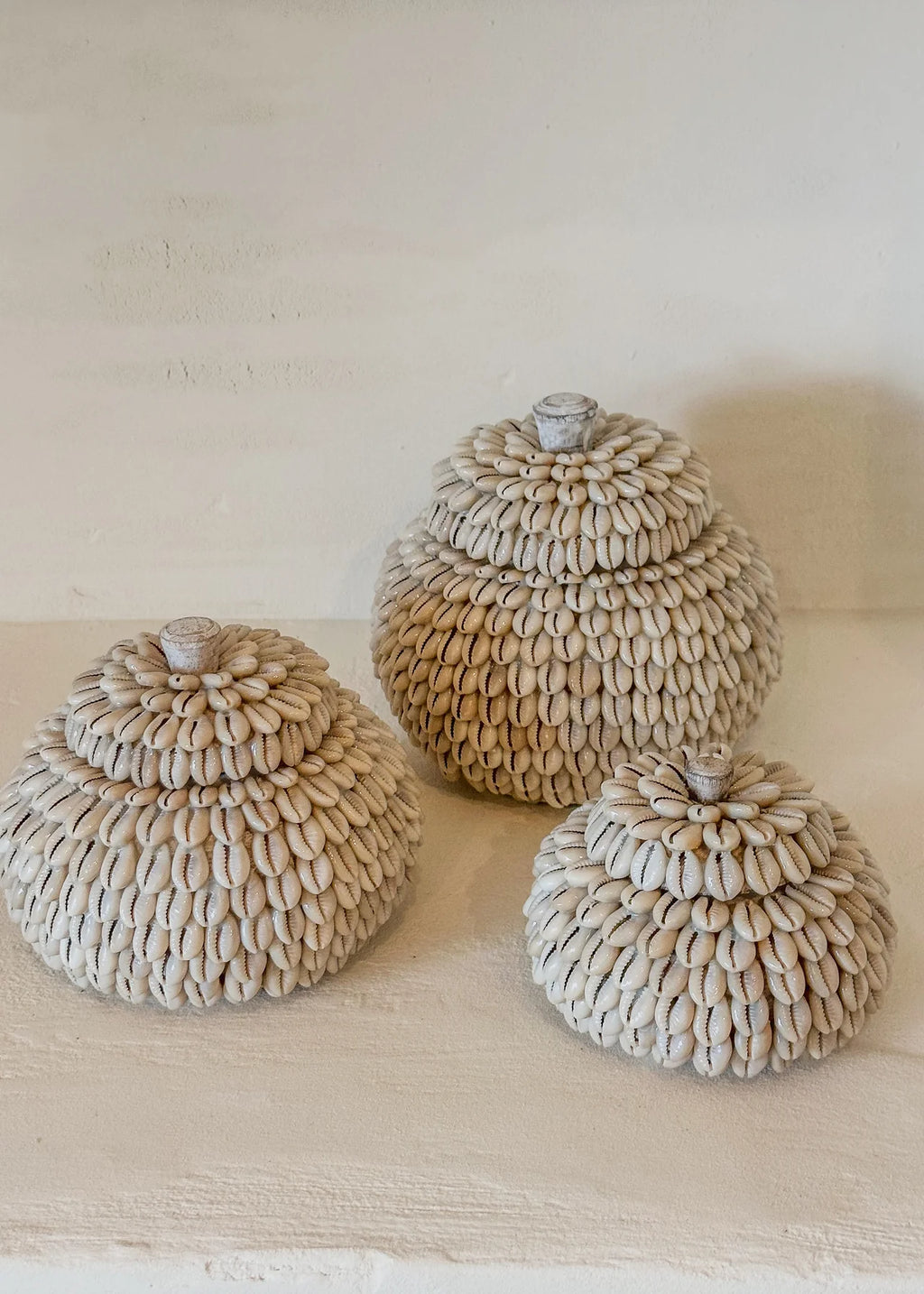 Moyo pot kauri schelpen