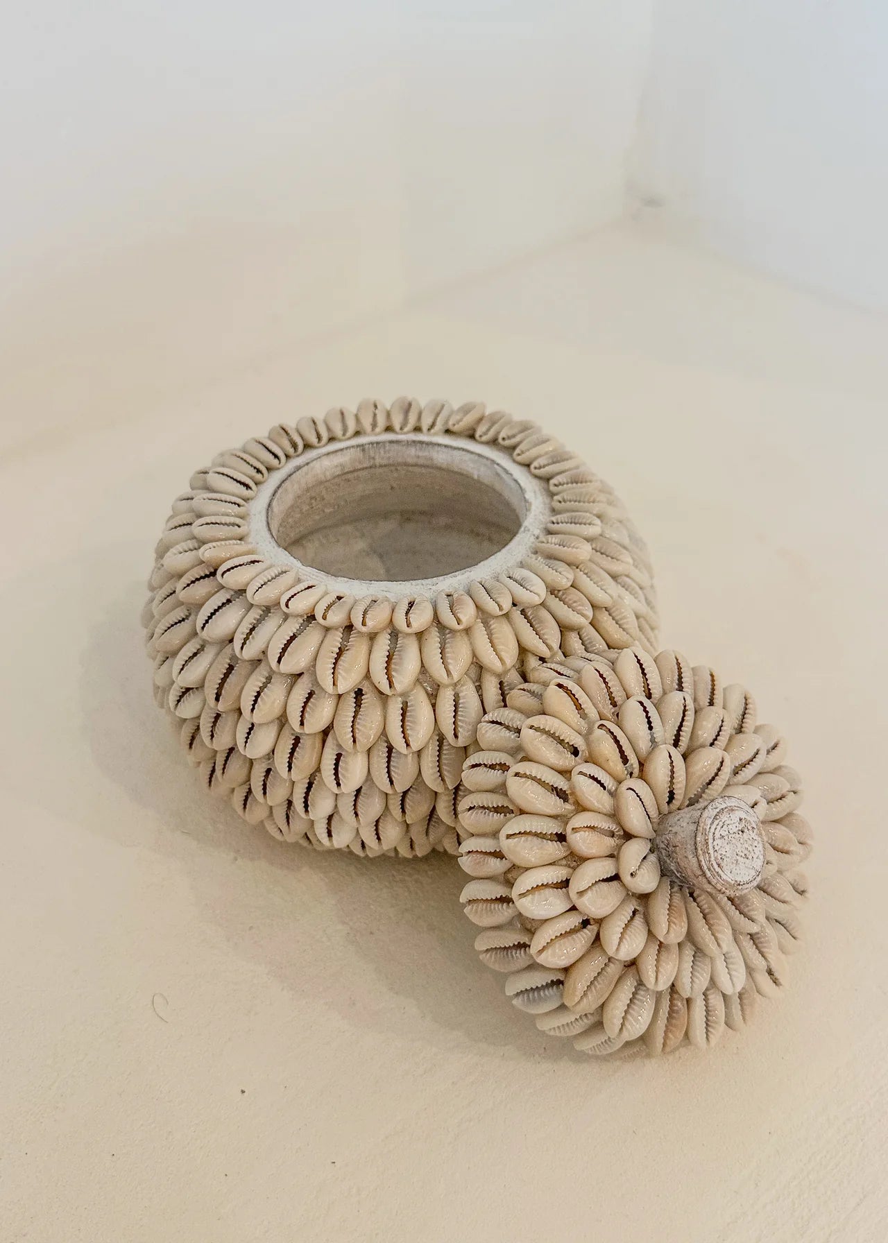 Moyo pot kauri schelpen
