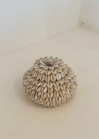Moyo pot kauri schelpen